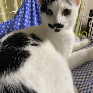 愛くるしいお顔の男の子