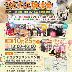 つかねこ譲渡会inＯｆｆｉｃｅ