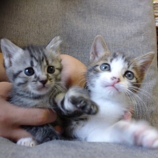 素敵なご縁に恵まれました！