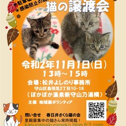 保護猫の譲渡会in守山