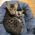天然系のおっとりさん、ビター君❗️