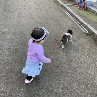 お散歩中