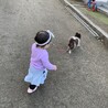 お散歩中