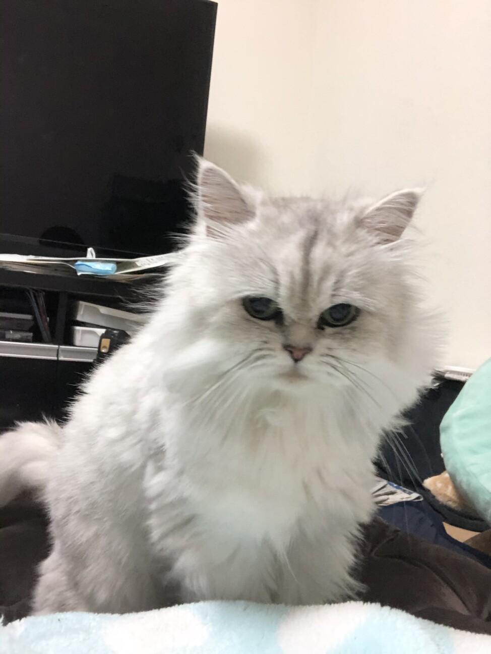 らいち