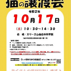 しっぽゆらゆら杜猫会主催「猫の譲渡会」