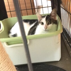 サン君お家修業の成果