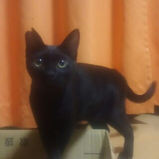 物怖じしない元気いっぱいな男の子