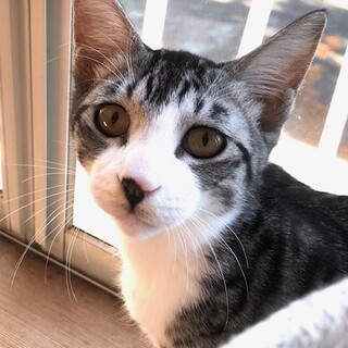 抱っこ大好き甘えんぼ　ウィン君君