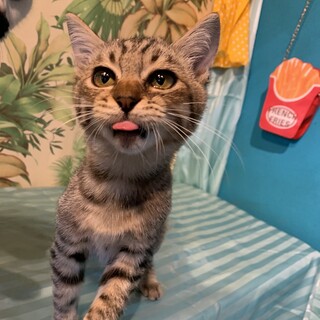 脚長イケ♂春生まれ