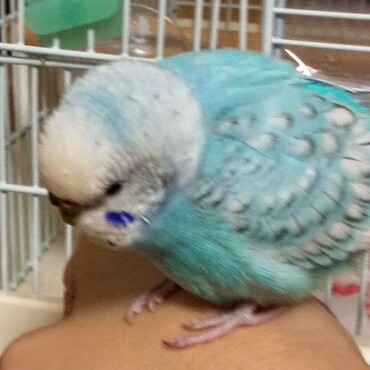 自分の影をじーっと見るという可愛いクセがあります