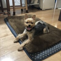 もなか