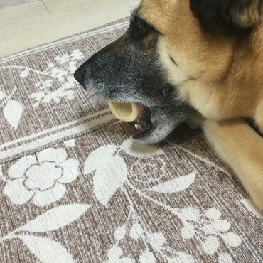 の写真