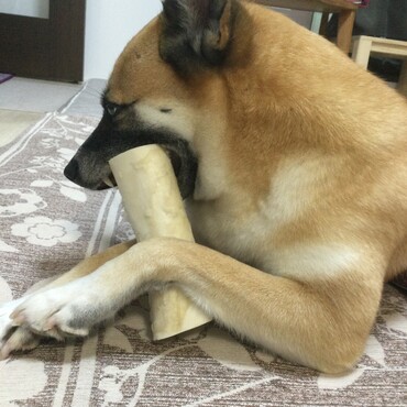 の写真