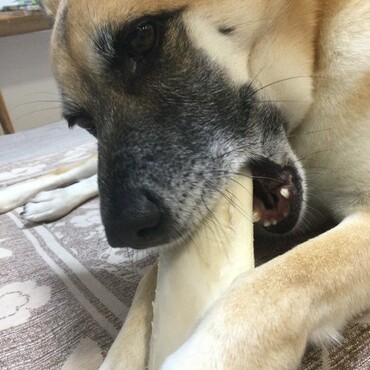 の写真