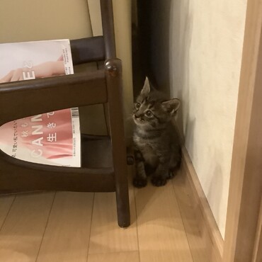 の写真