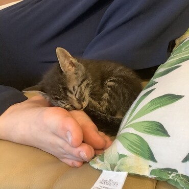 1ヶ月半の頃(´∀｀=)