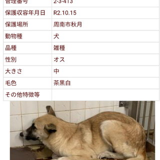 収容期限1週間です