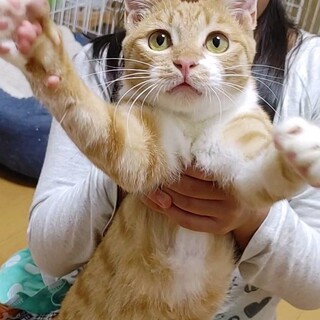 僕ちゃんは『コナツ！』