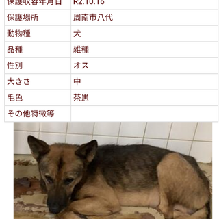 収容期限1週間です