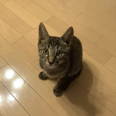 4ヶ月…まだまだ子供だけど2.3Kg (^_^;)