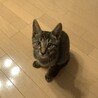 4ヶ月…まだまだ子供だけど2.3Kg (^_^;)