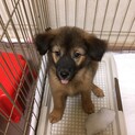素敵な家族に巡り会えました