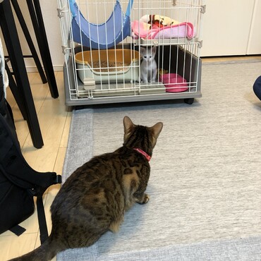 はじめまして