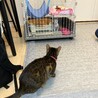はじめまして