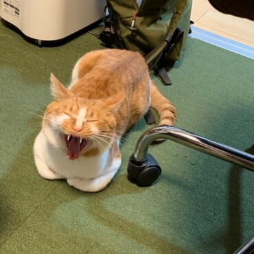 の写真