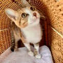 フレンドリーな穏やかな　ぺぺちゃん❣️ニカ月