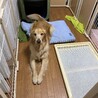 の写真