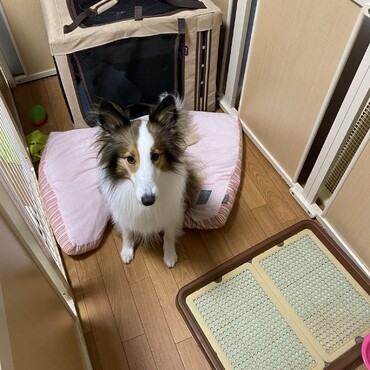 の写真
