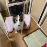 の写真