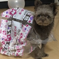 ラト