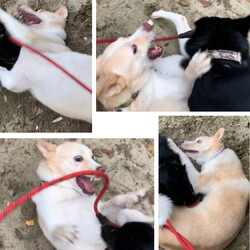 「汚れる事=好きな事」サムネイル1