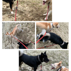 「汚れる事=好きな事」サムネイル2