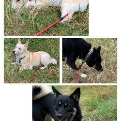 「汚れる事=好きな事」サムネイル3