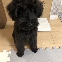 アネ