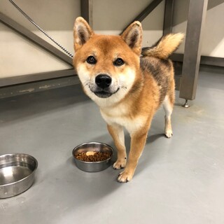 可愛いけれど、気難しいマサト君→相談中