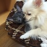おゆき1