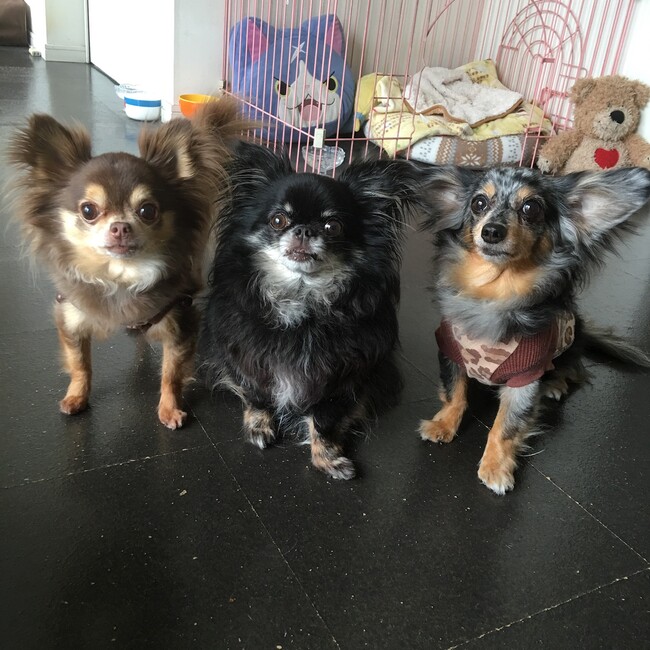 ミワモルギフのカバー写真