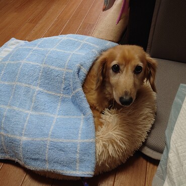 の写真