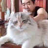 はせぴい