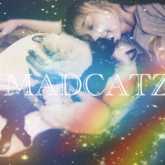 NPO法人MADCATZのカバー写真