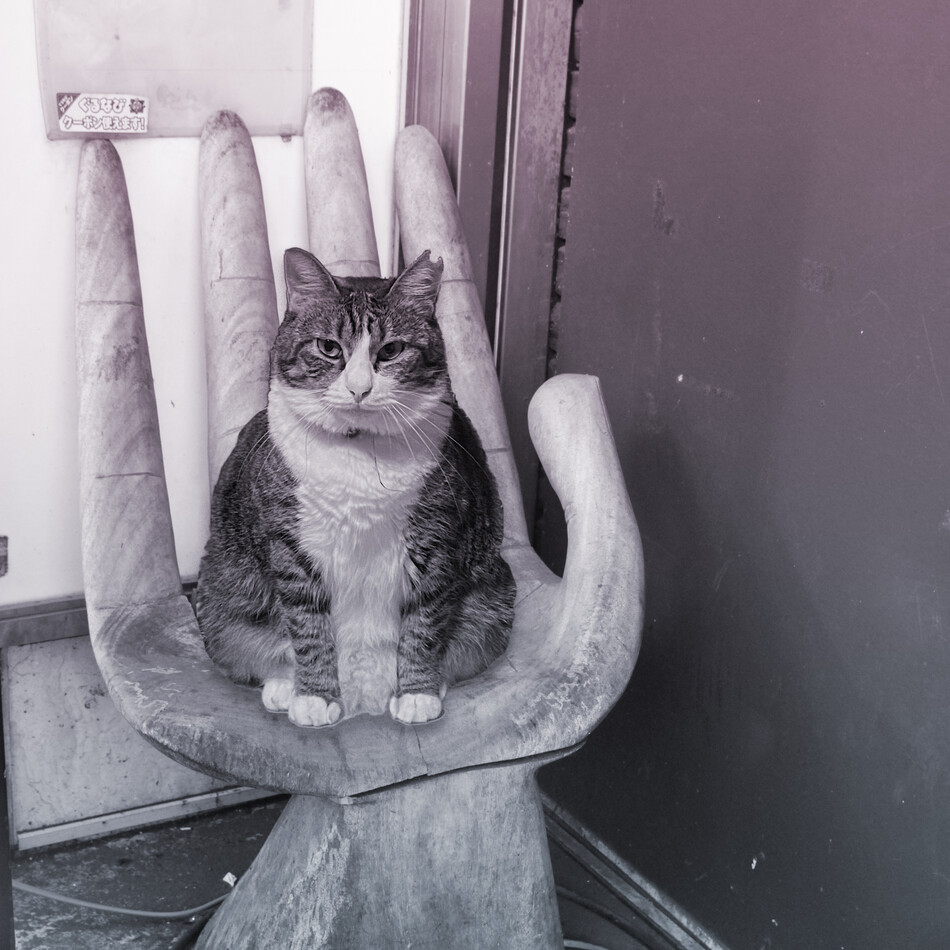 らむのカバー写真