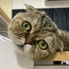 まんまるちゃん♡