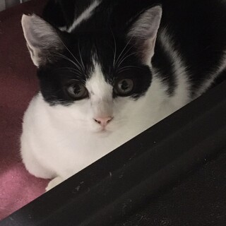 人慣れ抜群！スリスリポン酢くん。