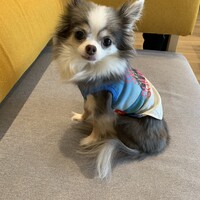 天