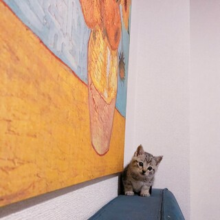 美形くんで性格もいい子