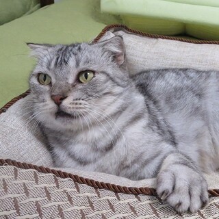 11/22水道橋★ジョンくん★のんびりお殿様